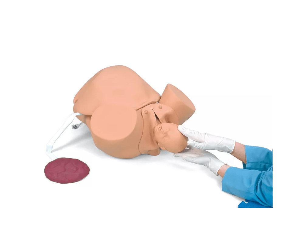 Geburtssimulator - Erler - Zimmer